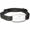 /products/collar-antiparasitos-para-perros/
